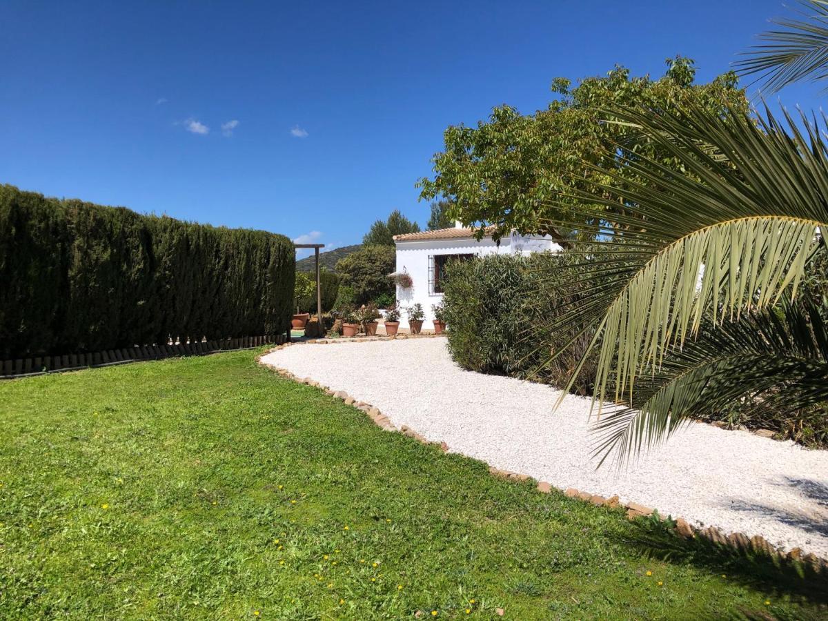 Casa La Alegria 37 Bed & Breakfast Villanueva de Tapia Exterior photo