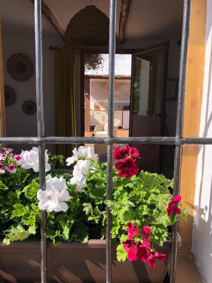 Casa La Alegria 37 Bed & Breakfast Villanueva de Tapia Exterior photo